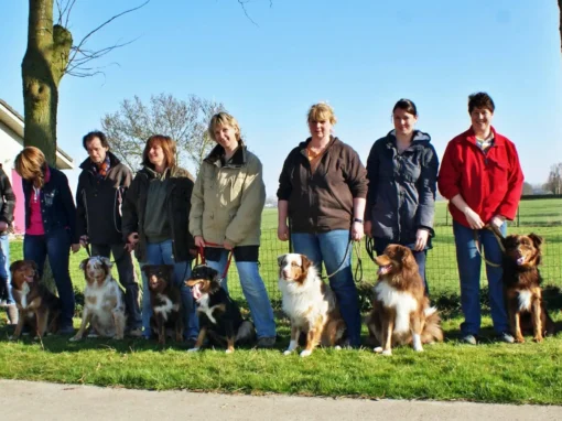 Nestje 2009