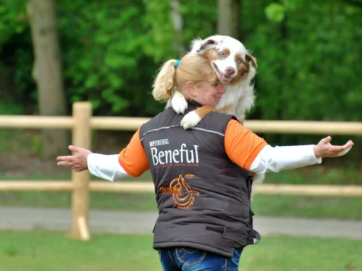 Dogfrisbee