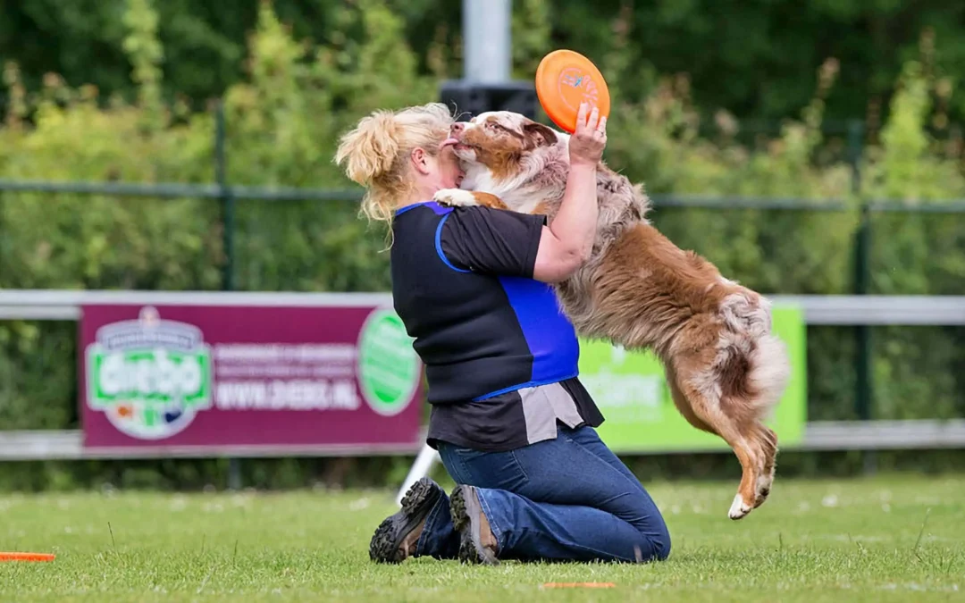 Bouncerscup