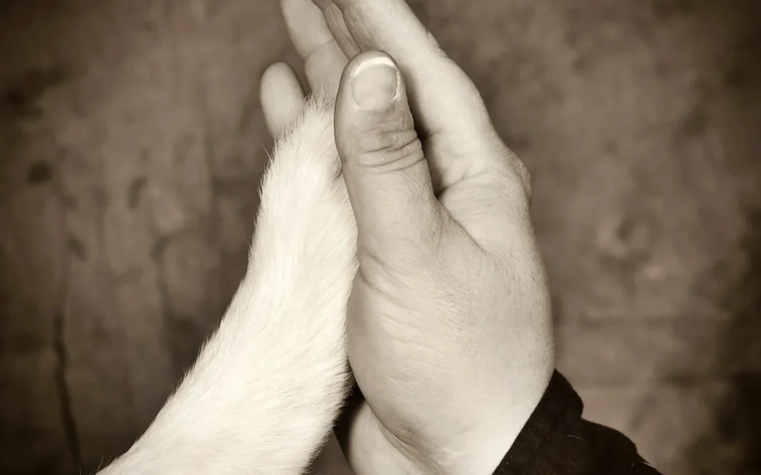 Foto Vriendschap Mens en Hond